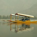 Gallery Thumbnail 2