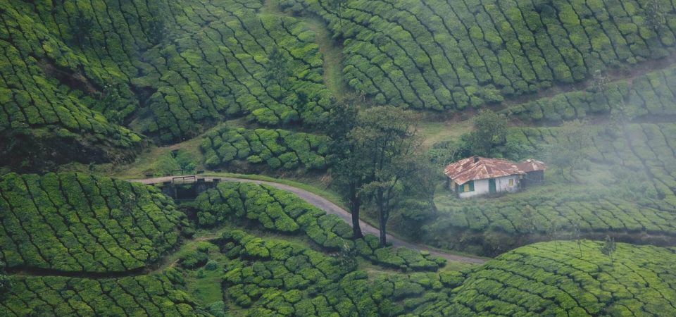 Munnar Kerala