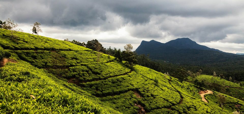 Nuwara Eliya Sri Lanka