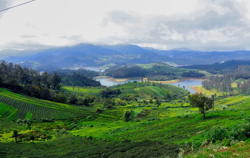 Bangalore Coorg Ooty and Mysore - 10 Days